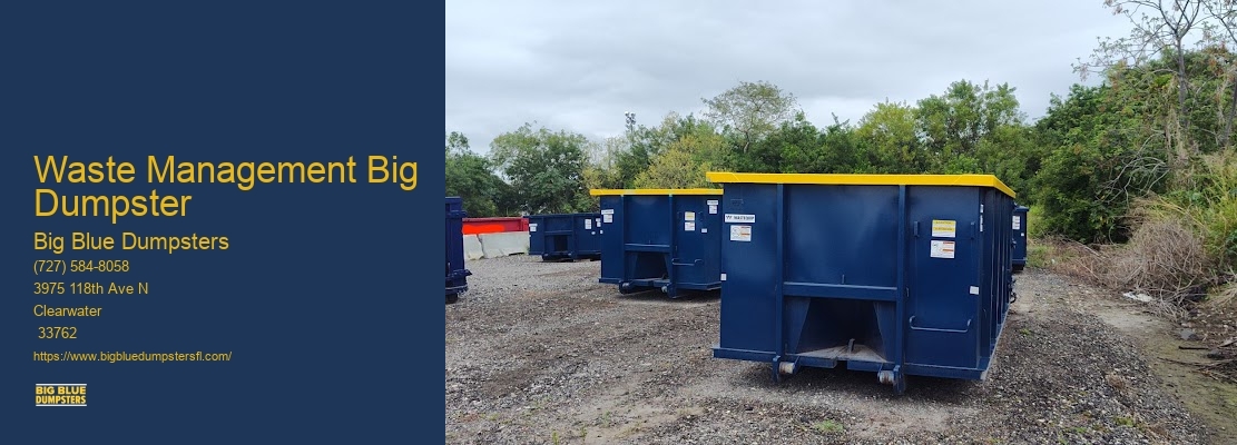 Large Dumpster Rental Price